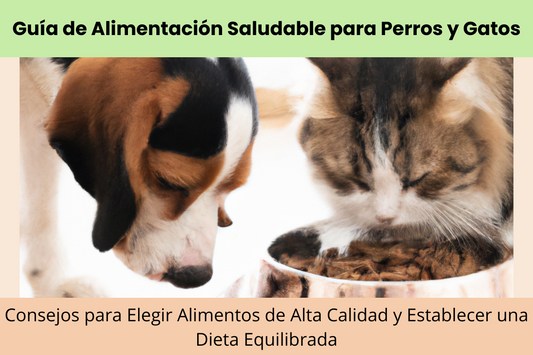 Guía de Alimentación Saludable para Perros y Gatos: Consejos para Elegir Alimentos de Alta Calidad y Establecer una Dieta Equilibrada